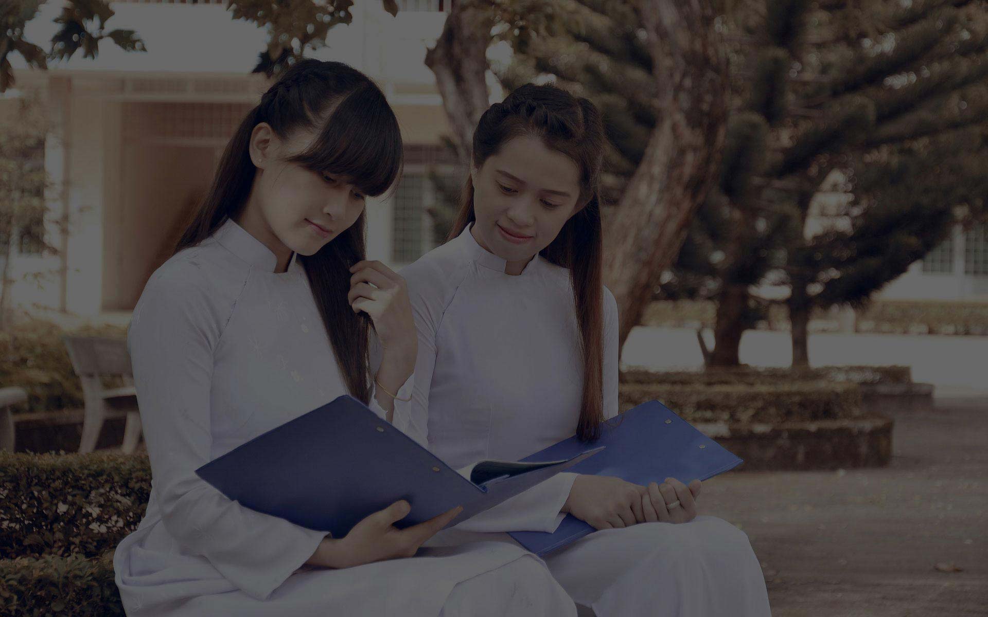 手机号网页在线轰炸源码